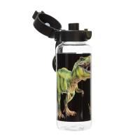 spencil water bottle dinosaur discovery