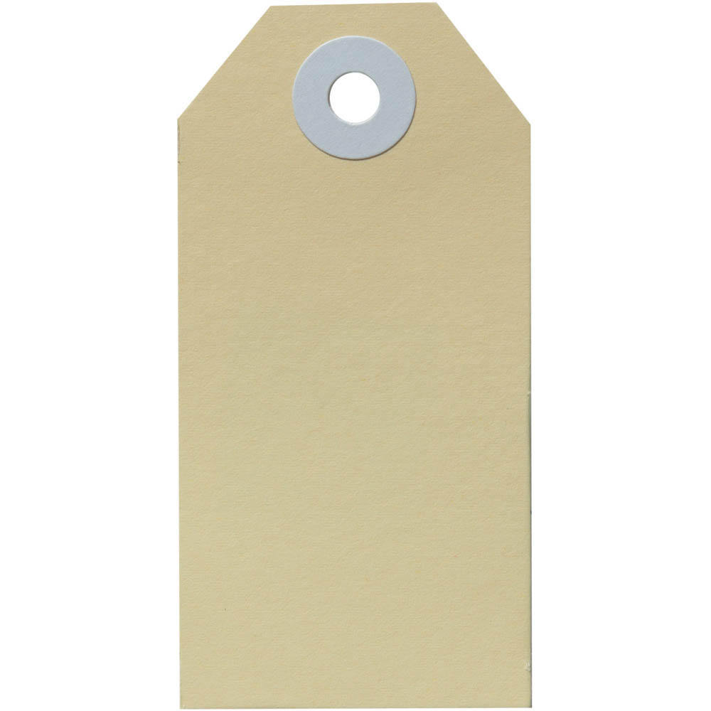 Image for AVERY 12000 SHIPPING TAG SIZE 2 82 X 41MM BUFF BOX 1000 from PaperChase Office National