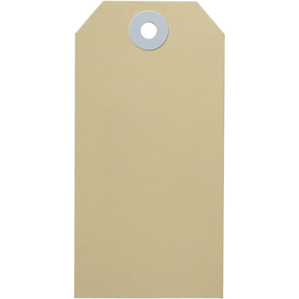 Image for AVERY 14000 SHIPPING TAG SIZE 4 108 X 54MM BUFF BOX 1000 from Surry Office National