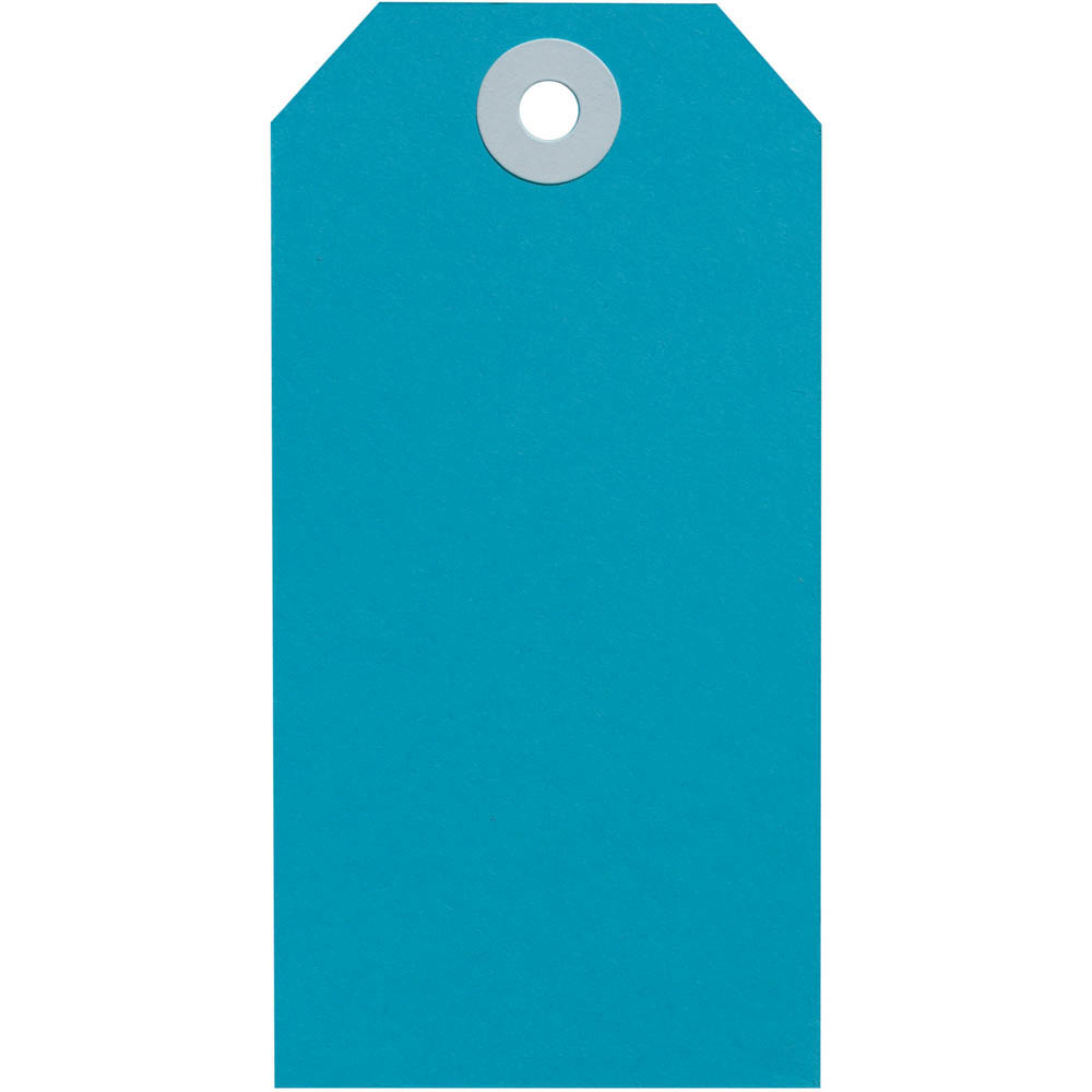 Image for AVERY 14552 SHIPPING TAG SIZE 4 108 X 54MM BLUE BOX 50 from PaperChase Office National