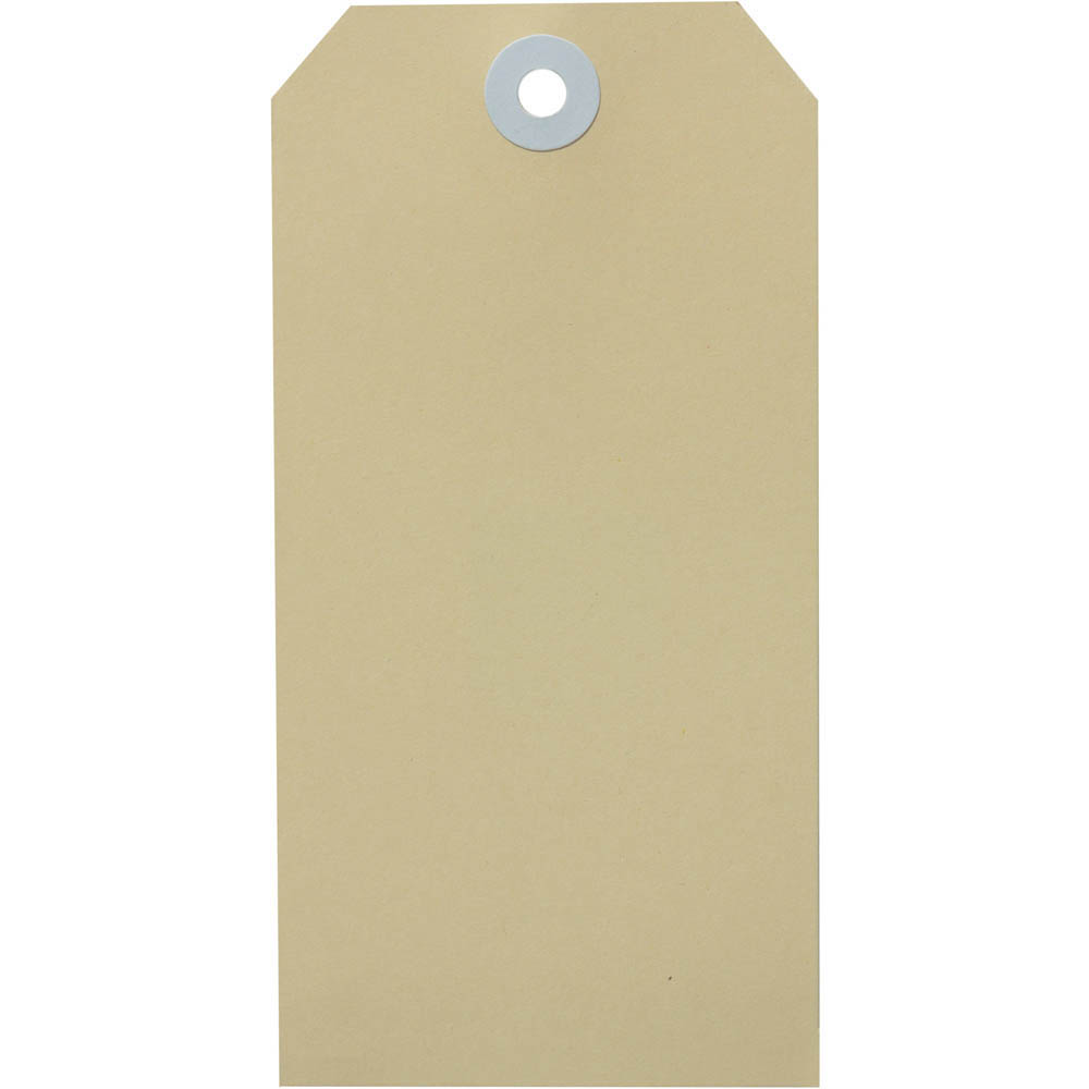 Image for AVERY 15100 SHIPPING TAG SIZE 5 120 X 60MM BUFF BOX 100 from PaperChase Office National