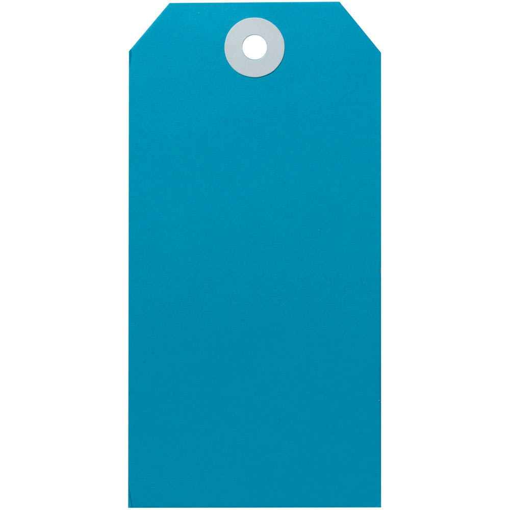 Image for AVERY 15120 SHIPPING TAG SIZE 5 120 X 60MM BLUE BOX 1000 from Office National