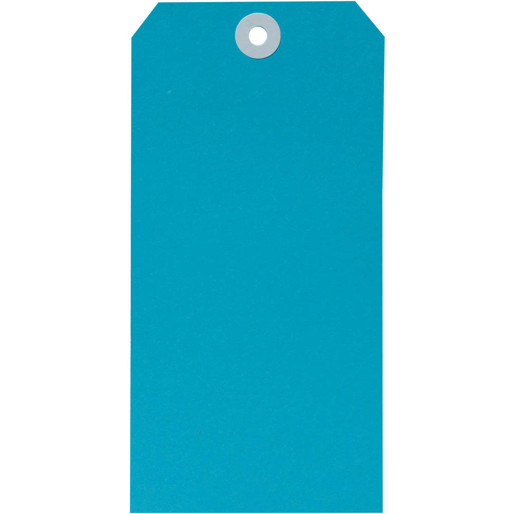 Image for AVERY 18120 SHIPPING TAG SIZE 8 160 X 80MM BLUE BOX 1000 from Office National Kalgoorlie