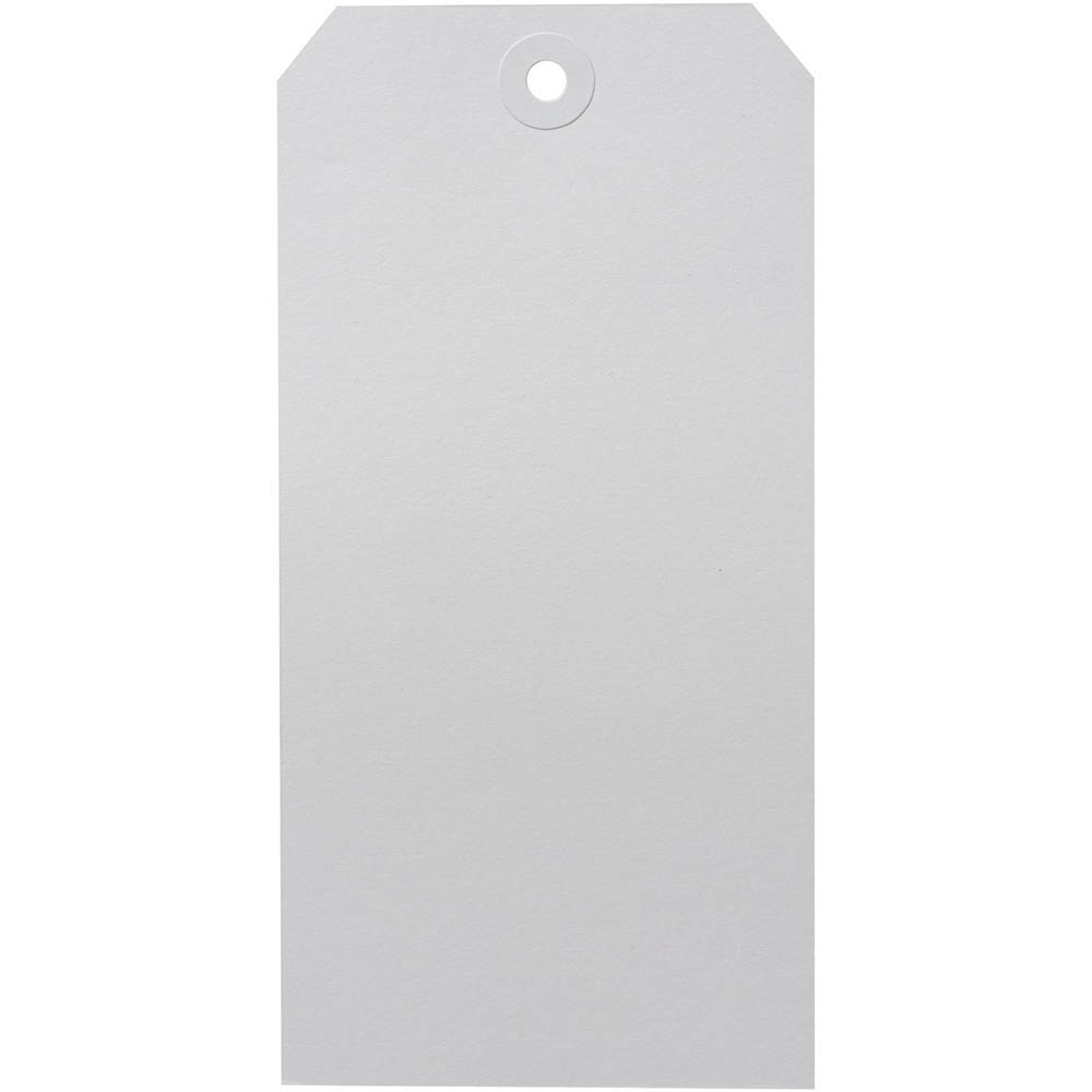 Image for AVERY 18160 SHIPPING TAG SIZE 8 160 X 80MM WHITE BOX 1000 from PaperChase Office National
