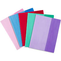 contact book sleeves 9 x 7 inch assorted pack 25
