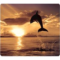 fellowes mouse pad optical recycled dolphin jumping