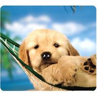 fellowes mouse pad optical recycled puppy in hammock