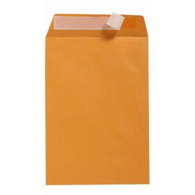 Image for CUMBERLAND C4 ENVELOPES POCKET PLAINFACE STRIP SEAL 85GSM 324 X 229MM GOLD BOX 250 from Surry Office National
