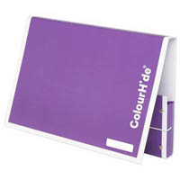 colourhide my handy document box a4 purple