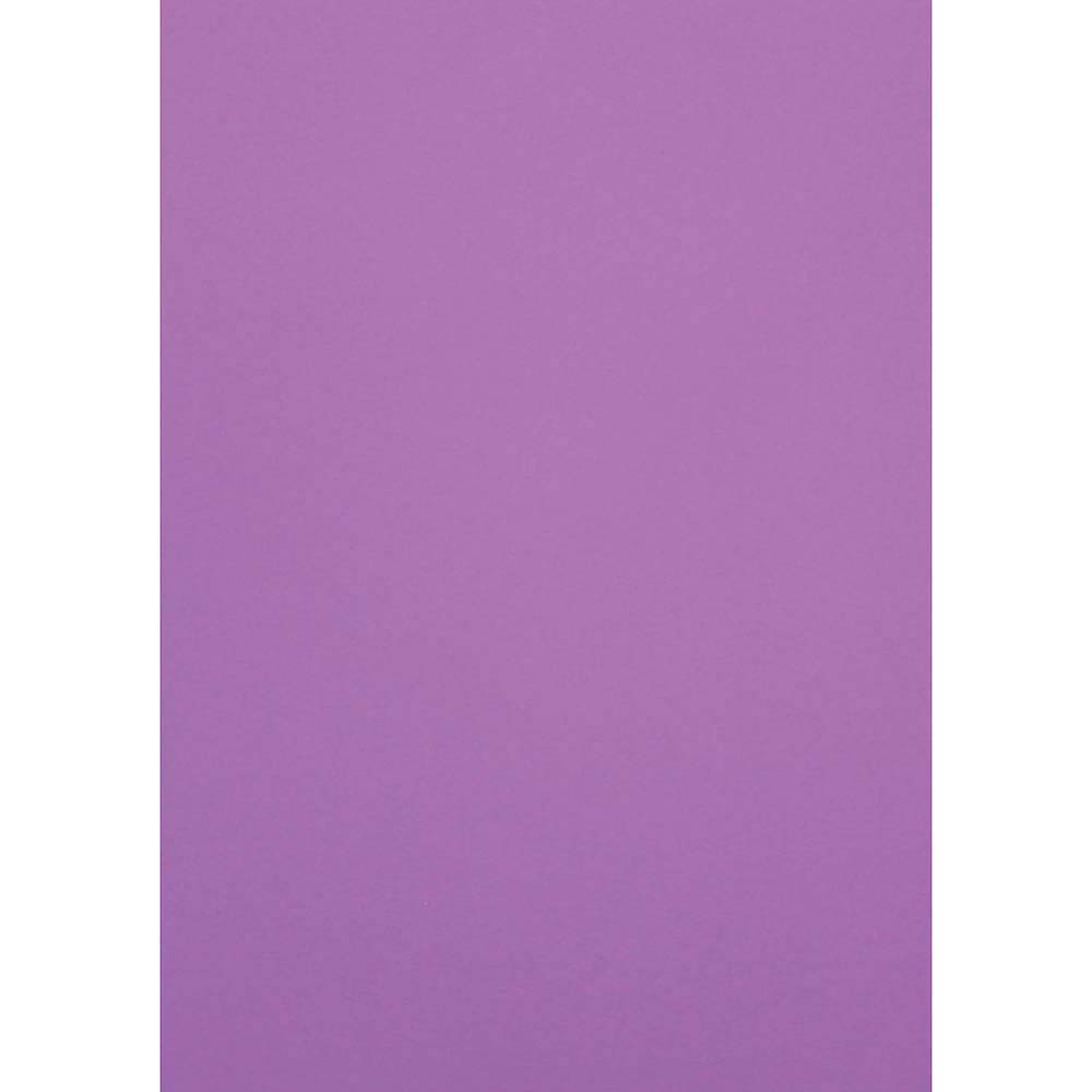 Image for COLOURFUL DAYS FESTIVE PAPER A4 110GSM PURPLE PACK 50 from Express Office National
