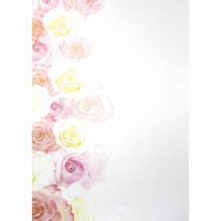 colourful days printed paper fading rose design 90gsm a4 pink/white pack 10