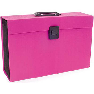 Image for COLOURHIDE MY TRUSTY EXPANDING CARRY FILE A4 PINK from Discount Office National