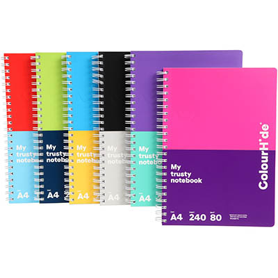 Image for COLOURHIDE MY TRUSTY NOTEBOOK 240 PAGE A4 ASSORTED from Discount Office National