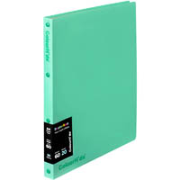 colourhide display book refillable 20 pocket green