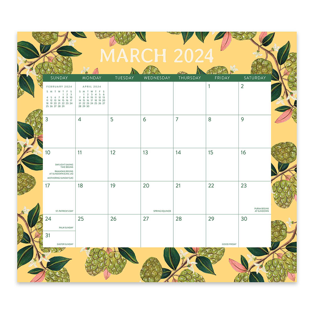Image for ORANGE CIRCLE 24127 MAGNETIC MONTHLY PAD FRUIT AND FLORA from Office National Caloundra Business Supplies
