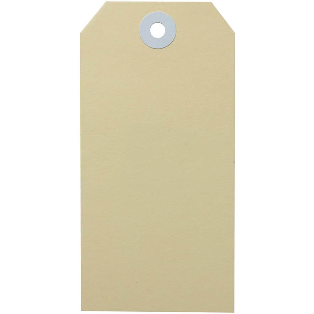 Image for AVERY 15000 SHIPPING TAG SIZE 5 120 X 60MM BUFF BOX 1000 from PaperChase Office National