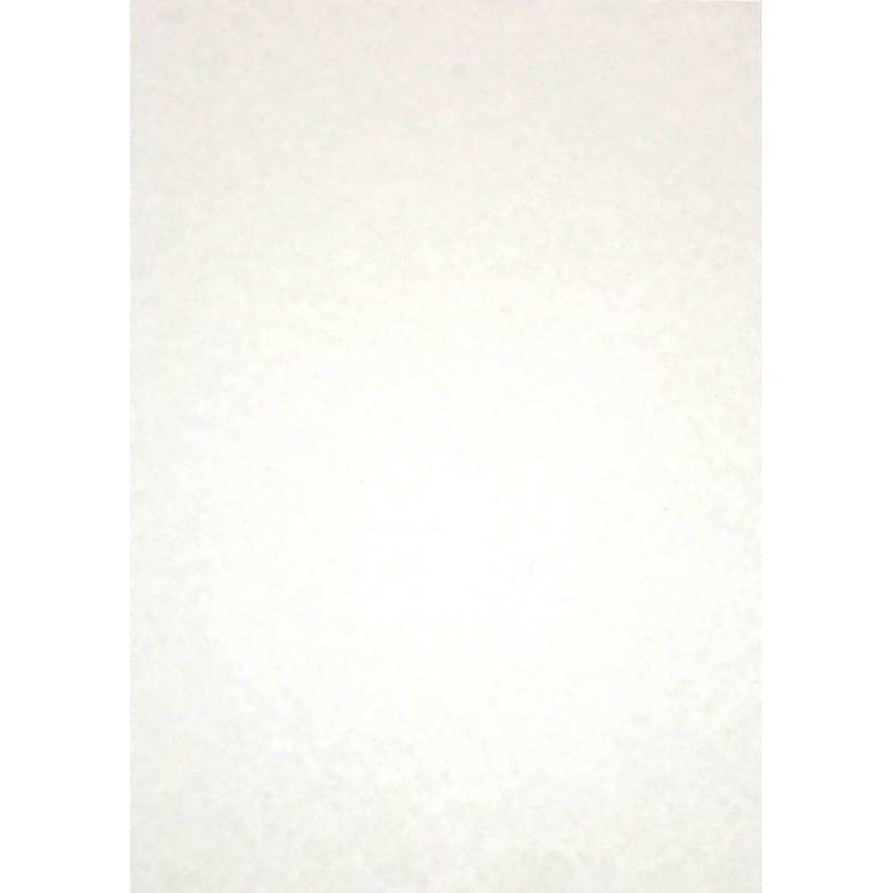 Image for RAINBOW PARCHMENT PAPER A4 90GSM WHITE PACK 100 from Axsel Office National