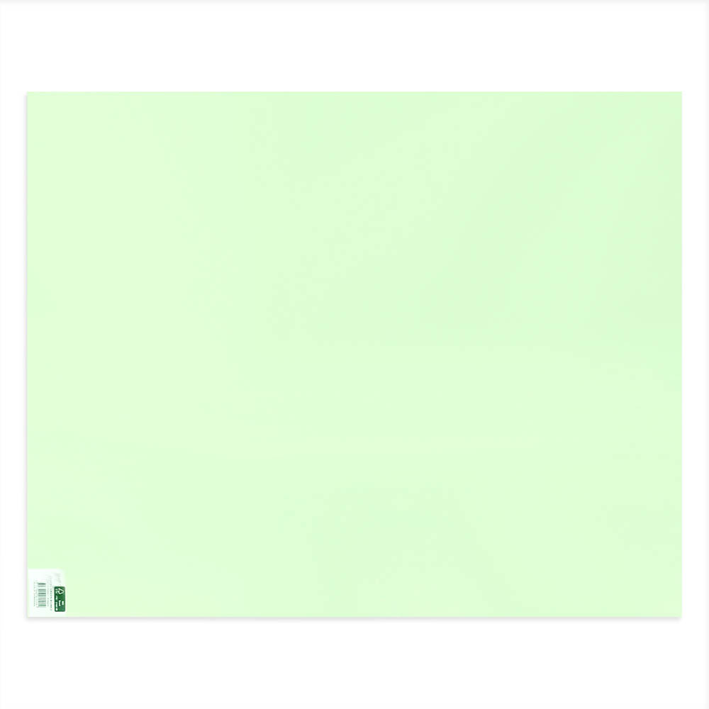 Image for QUILL COLOURBOARD 210GSM 510MM X 635MM PASTEL GREEN from Ezi Office National Tweed