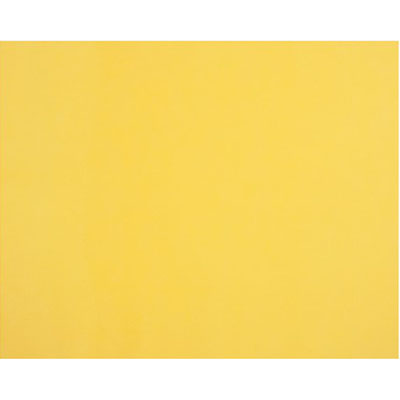 Image for QUILL BOARD 210GSM 510 X 635MM LEMON from Office National Kalgoorlie