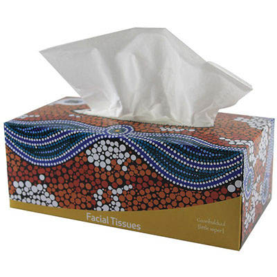 Image for CULTURAL CHOICE FACIAL TISSUES 2-PLY 200 SHEET from Our Town & Country Office National