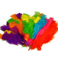 colorific feathers large assorted 30g