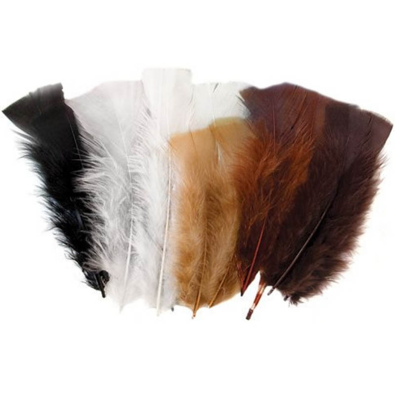 Image for COLORIFIC FEATHERS NATURAL ASSORTED PACK 50 from Two Bays Office National