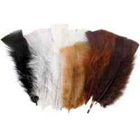 colorific feathers natural assorted pack 50