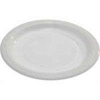 writer breakroom disposable plastic dinner plate 230mm white