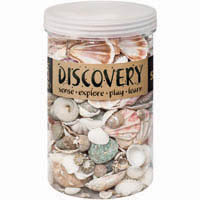 zart discovery sea shells 1kg assorted