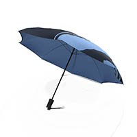 Image for JUMBLE AND CO UPS AND DOWNS UMBRELLA AUTOMATIC LIGHT BLUE from C & G Office National