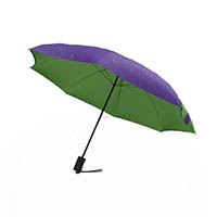 Image for JUMBLE AND CO UPS AND DOWNS UMBRELLA AUTOMATIC GREEN from Office National Mount Gambier