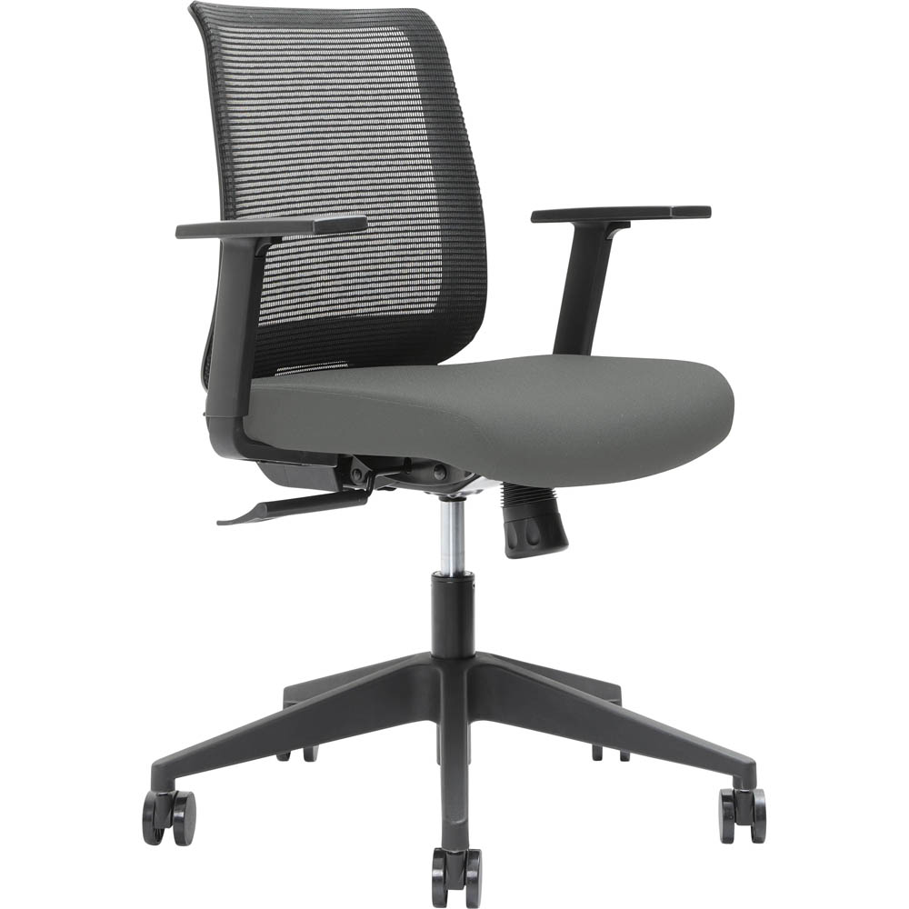 Image for BRINDIS TASK CHAIR LOW MESH BACK NYLON BASE ARMS STEEL from Pirie Office National