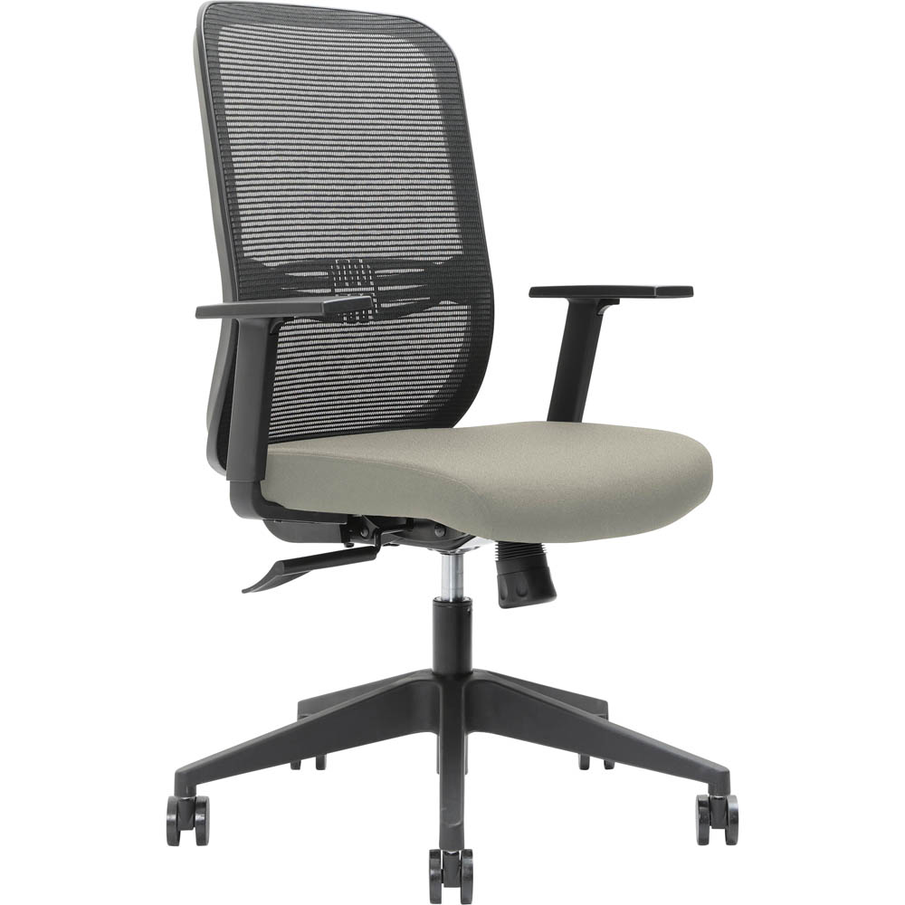 Image for BRINDIS TASK CHAIR HIGH MESH BACK NYLON BASE ARMS DRIFTWOOD from Office National Sydney Stationery