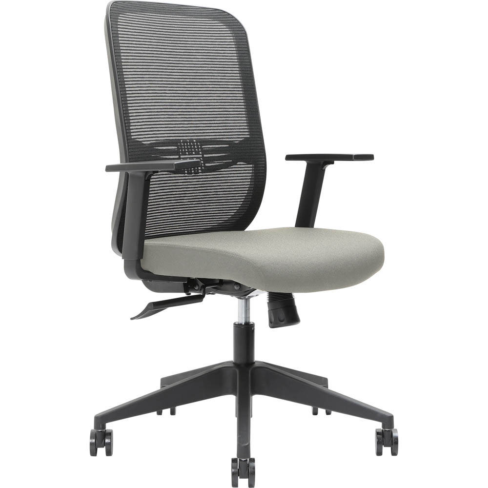 Image for BRINDIS TASK CHAIR HIGH MESH BACK NYLON BASE ARMS SAND from Pirie Office National