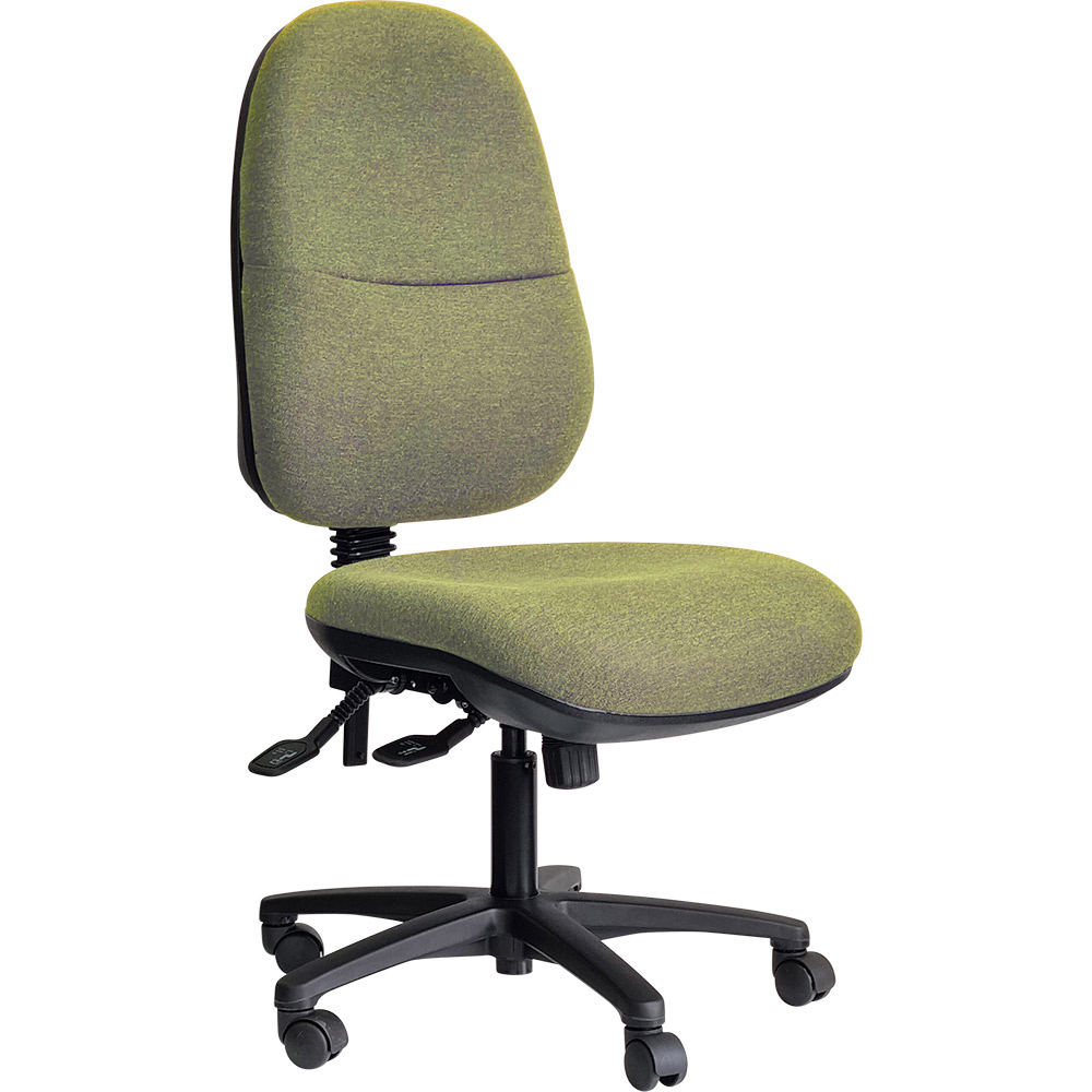 Image for DAL ERGO BC TASK CHAIR HIGH BACK 3-LEVER BLACK NYLON BASE GRAVITY FABRIC APPLE from Office National