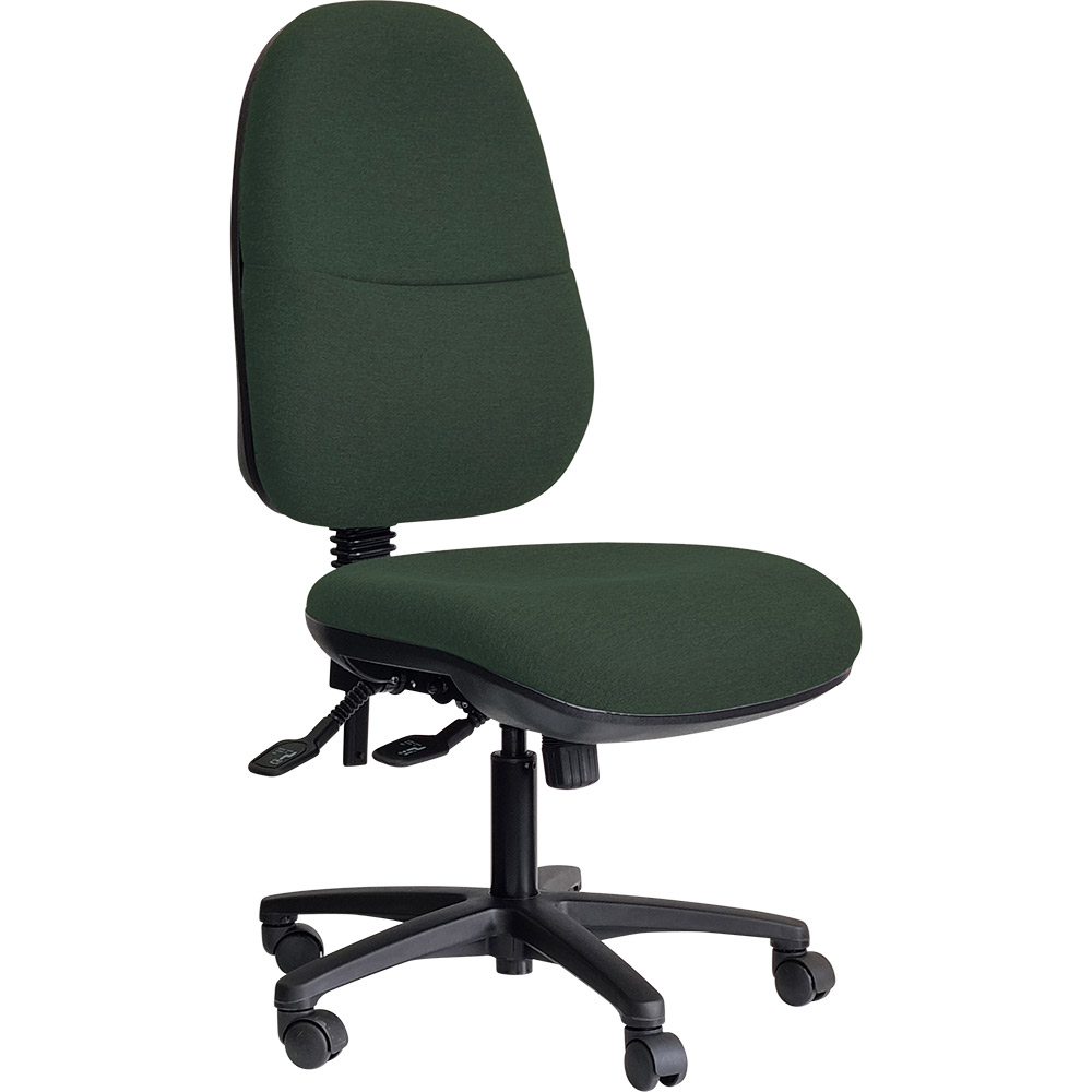 Image for DAL ERGO BC TASK CHAIR HIGH BACK 3-LEVER BLACK NYLON BASE GRAVITY FABRIC FOREST from Complete Stationery Office National (Devonport & Burnie)
