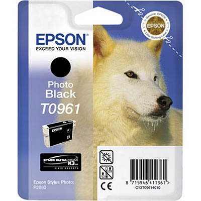 Image for EPSON T0961 INK CARTRIDGE PHOTO BLACK from Paul John Office National
