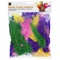 educational colours turkey feathers 60g bright assorted