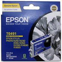 epson t0491 ink cartridge black