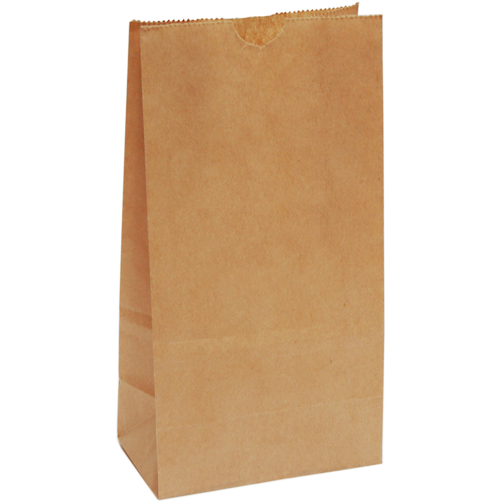 Image for CAPRI PAPER BAG SELF-OPENING SIZE 4 BROWN PACK 2000 from AASTAT Office National