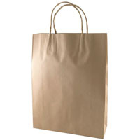 capri kraft paper carry bag bm twist handle medium brown pack 250