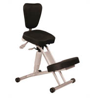 sylex physioflex iii posture chair