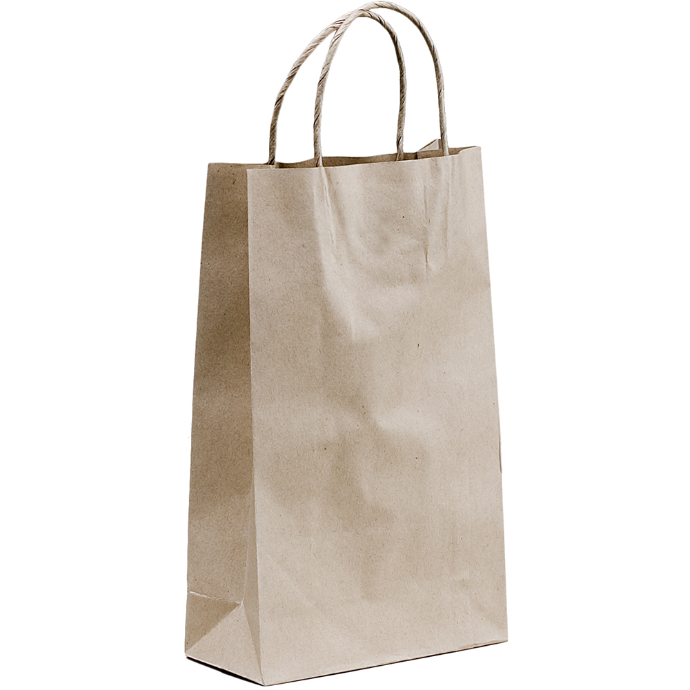 Image for HUHTAMAKI FUTURE FRIENDLY PAPER BAG TWISTED HANDLE 265 X 160MM BROWN PACK 50 from Aztec Office National