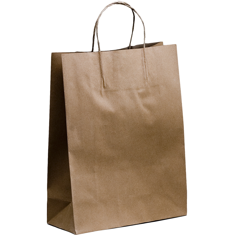 Image for HUHTAMAKI FUTURE FRIENDLY PAPER BAG TWISTED HANDLE 350 X 260MM BROWN PACK 50 from Surry Office National