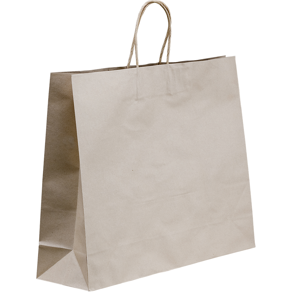 Image for HUHTAMAKI FUTURE FRIENDLY PAPER BAG TWISTED HANDLE 400 X 450MM BROWN PACK 50 from Pirie Office National