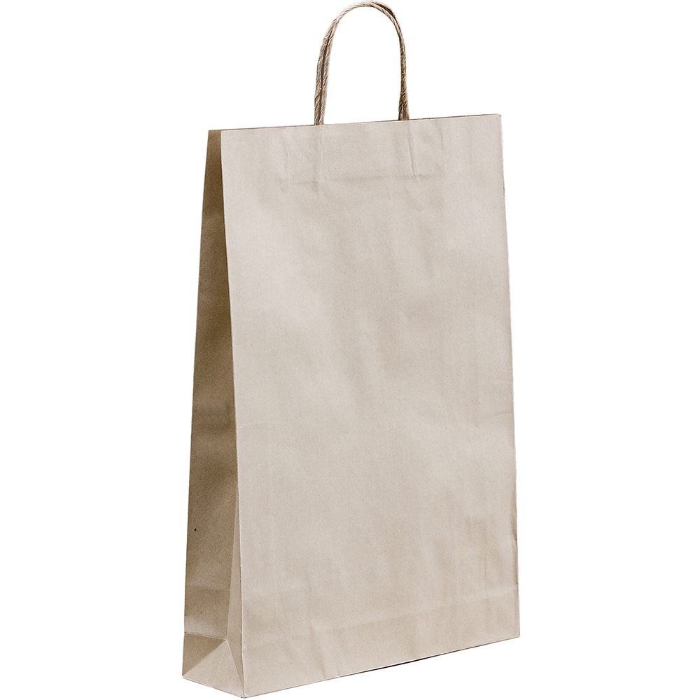 Image for HUHTAMAKI FUTURE FRIENDLY PAPER BAG TWISTED HANDLE 480 X 340MM BROWN PACK 50 from Office National Perth CBD