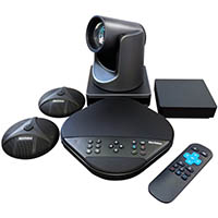 bizvideo video conference system with expansion microphones