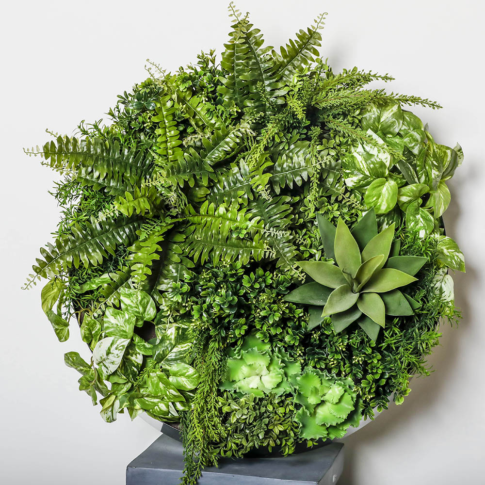 Image for PLANT IMAGE VERTICAL WALL GARDEN ROUND LARGE from OFFICE NATIONAL CANNING VALE