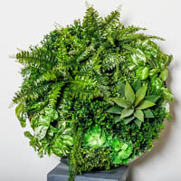 plant image vertical wall garden round small