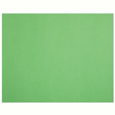 Image for QUILL XL MULTIBOARD 210GSM 510 X 635MM LIME from Office National Perth CBD